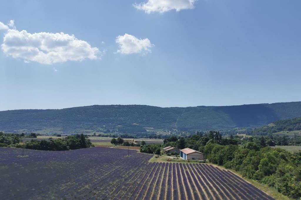 Villa La Petite Reine Du Ventoux Sault Exterior foto